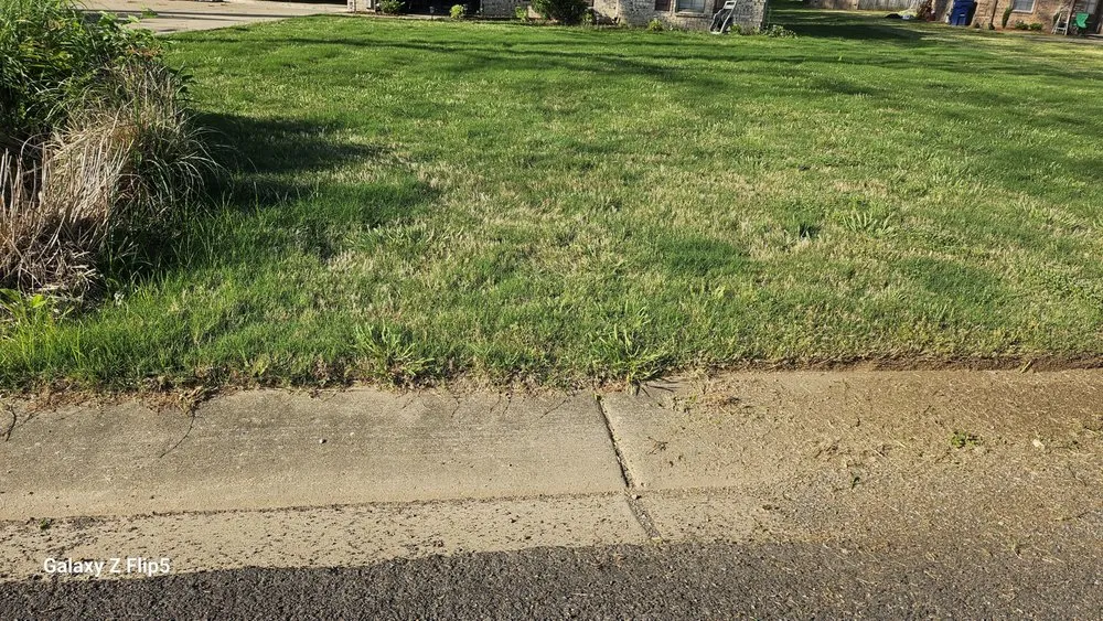 Professional yard maintenance with custom design across Walls, MS - Clark's Lawn Service