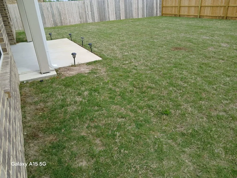 Expert outdoor landscaping for residential properties in Walls, MS by Clark's Lawn Service