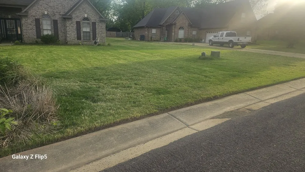 Reliable lawn mowing service for year-round maintenance across Walls, MS - Clark's Lawn Service