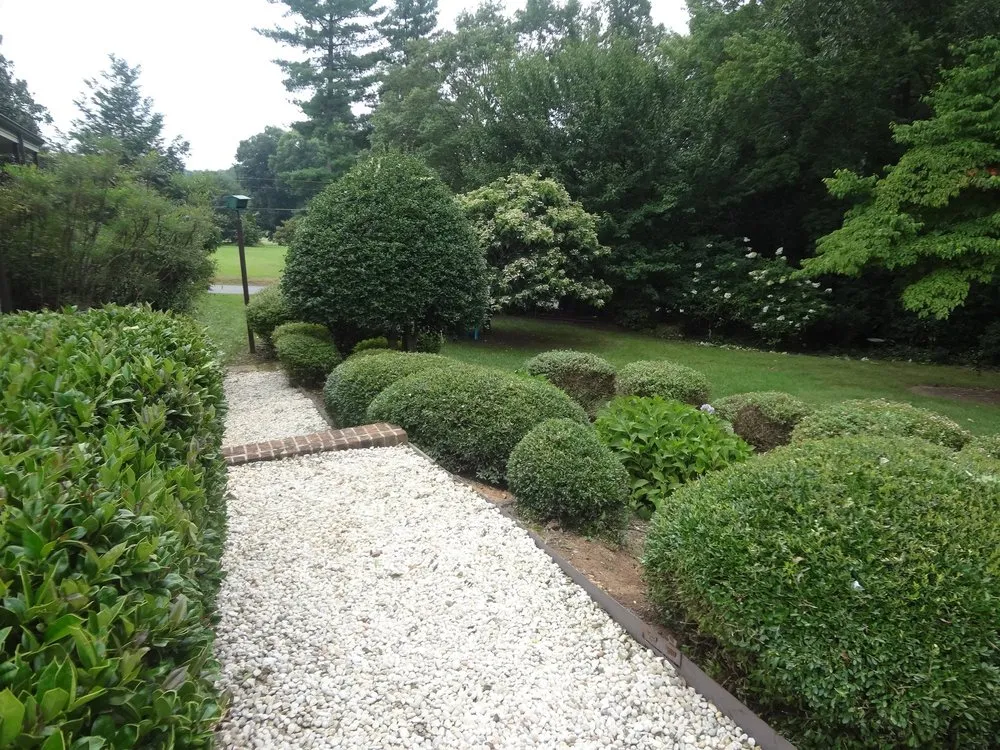 Local yard cleanup service in Lenoir, NC by Clarks