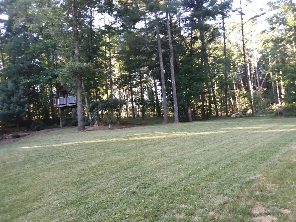 Professional residential landscaping for year-round maintenance across Lenoir, NC - Clarks