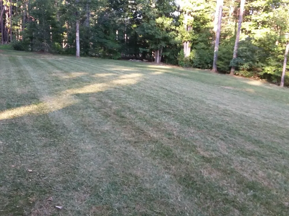 Local residential landscaping for outdoor upgrades across Lenoir, NC - Clarks