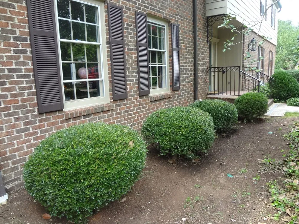 Trusted lawn mowing service experts serving Lenoir, NC - Clarks