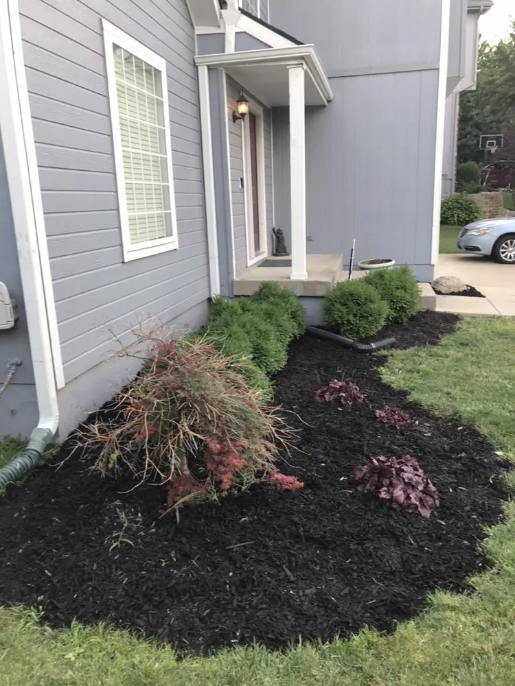 Top-rated residential landscaping in Raytown, MO by Clark's Next Door Lawn Care