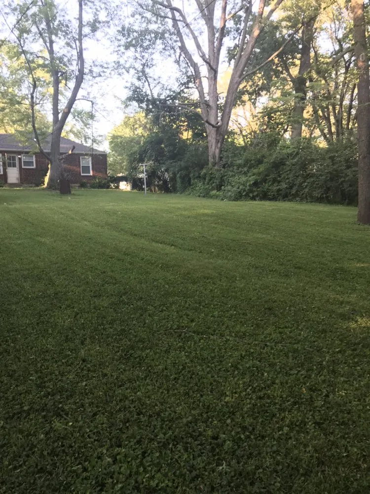 Affordable lawn mowing service experts serving Raytown, MO - Clark's Next Door Lawn Care