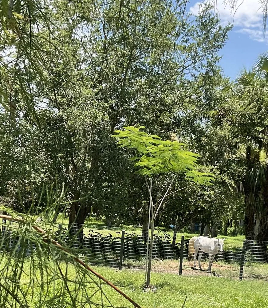 Custom lawn mowing service with custom design across Naples, FL - Clark's Nursery