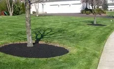 Local landscape design for homes across Warrington, PA - Clark's Precision Landscaping