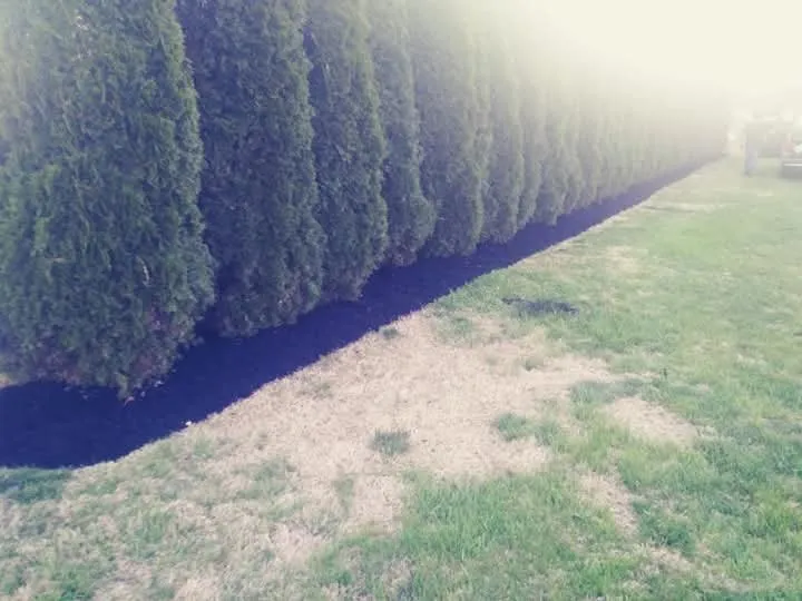 Trusted yard cleanup service with custom design across Winchester, TN - Clarks Pro Lawn & Landscape