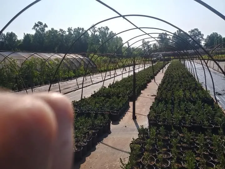 Top-rated garden landscaping in Winchester, TN - Clarks Pro Lawn & Landscape