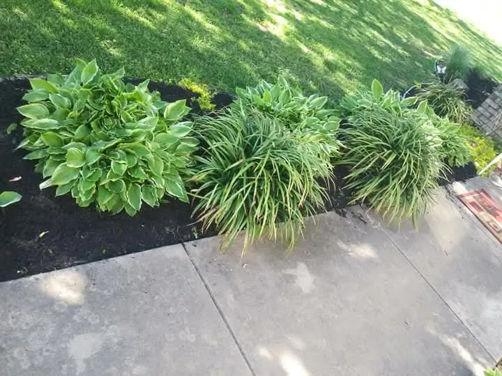 Custom yard cleanup service for homes in Winchester, TN by Clarks Pro Lawn & Landscape