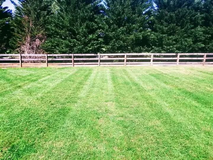 Custom yard cleanup service in Winchester, TN by Clarks Pro Lawn & Landscape