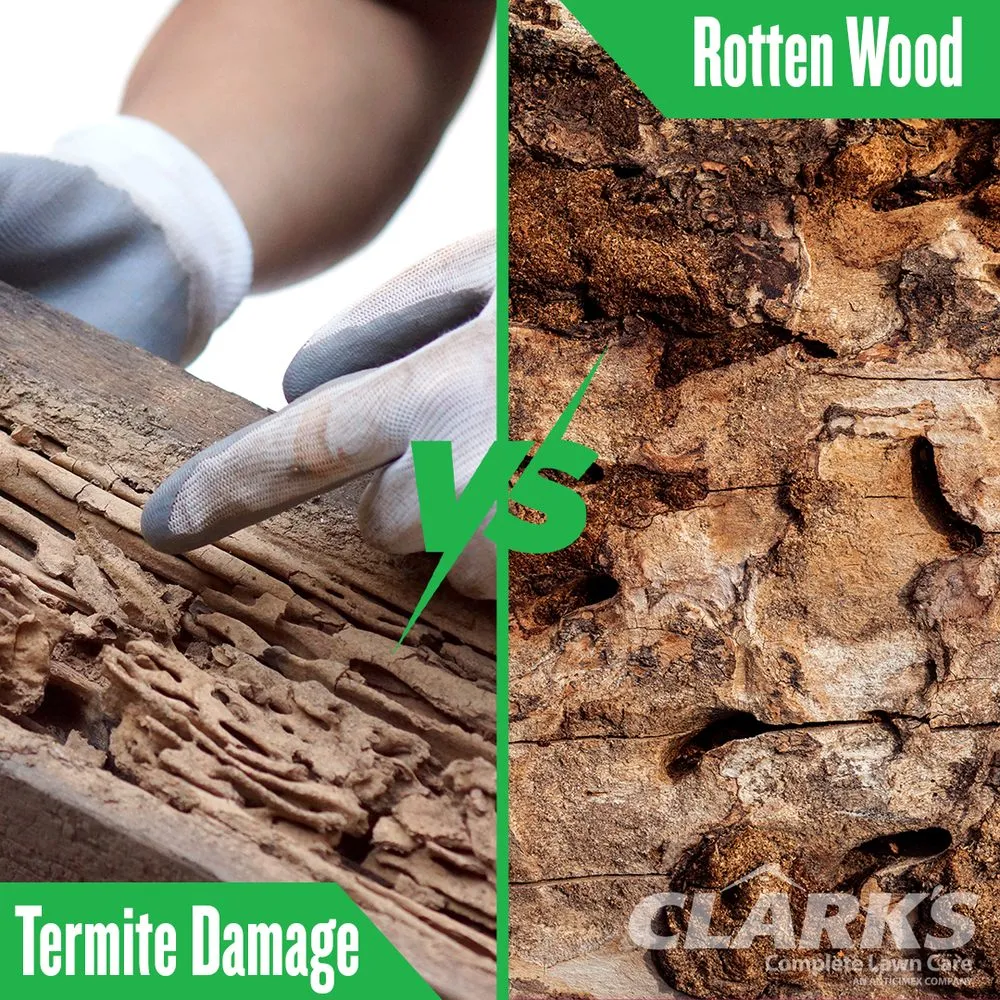 Affordable landscape design in Murrells Inlet, SC by Clark's Termite & Pest Control