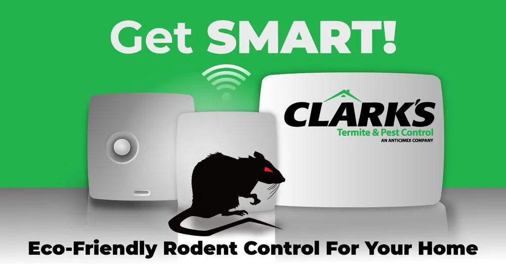 Affordable lawn care service in Murrells Inlet, SC by Clark's Termite & Pest Control