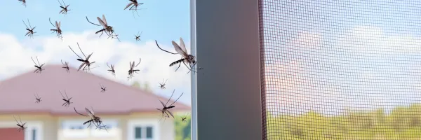 Affordable landscaping services experts serving Murrells Inlet, SC - Clark's Termite & Pest Control