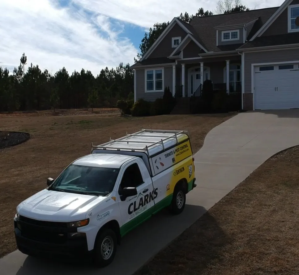 Custom landscaping services experts serving Murrells Inlet, SC - Clark's Termite & Pest Control