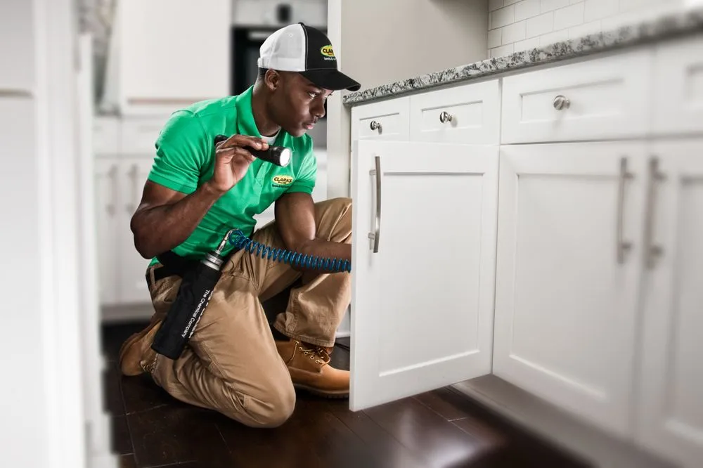 Custom landscaping services for homes across Murrells Inlet, SC - Clark's Termite & Pest Control