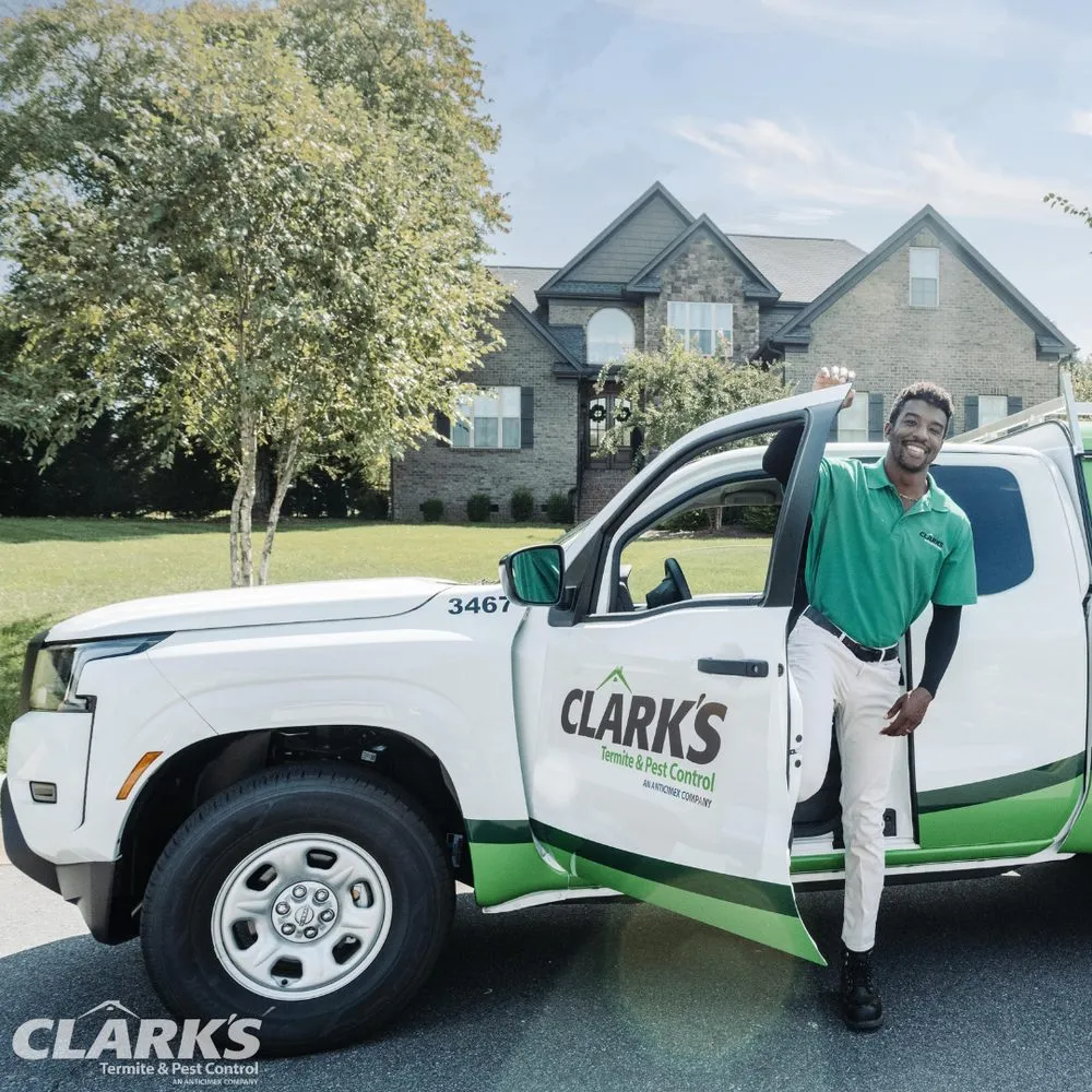 Custom yard cleanup service in Murrells Inlet, SC - Clark's Termite & Pest Control