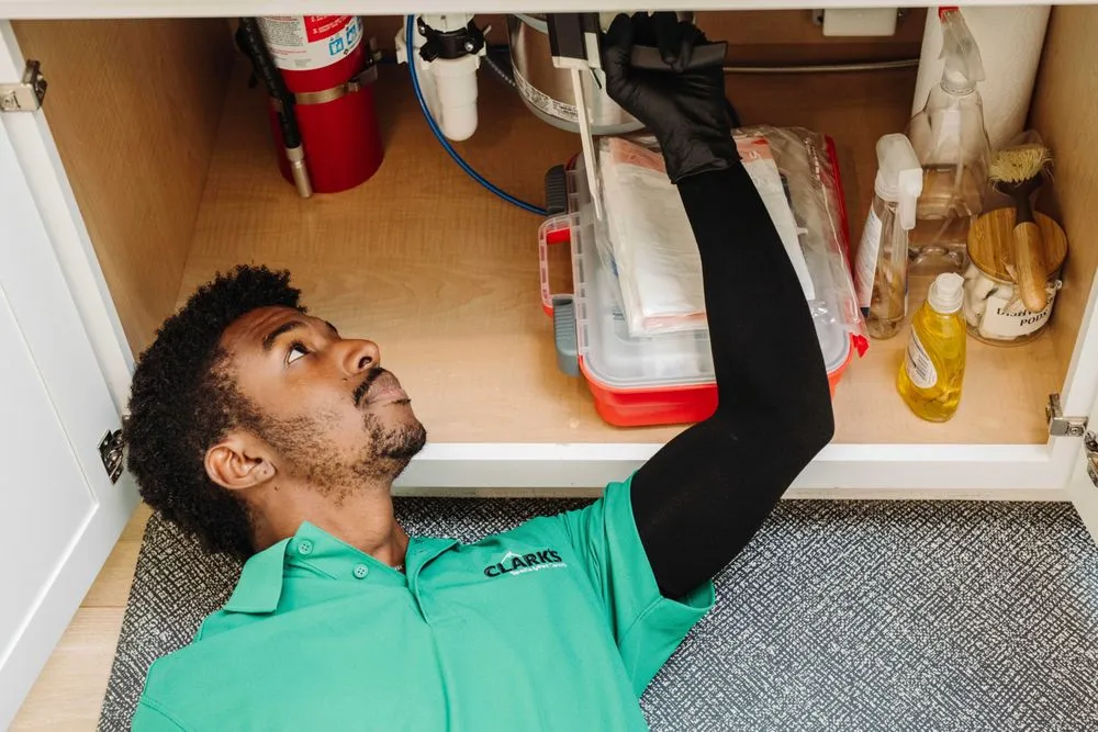 Expert lawn care service experts serving Murrells Inlet, SC - Clark's Termite & Pest Control