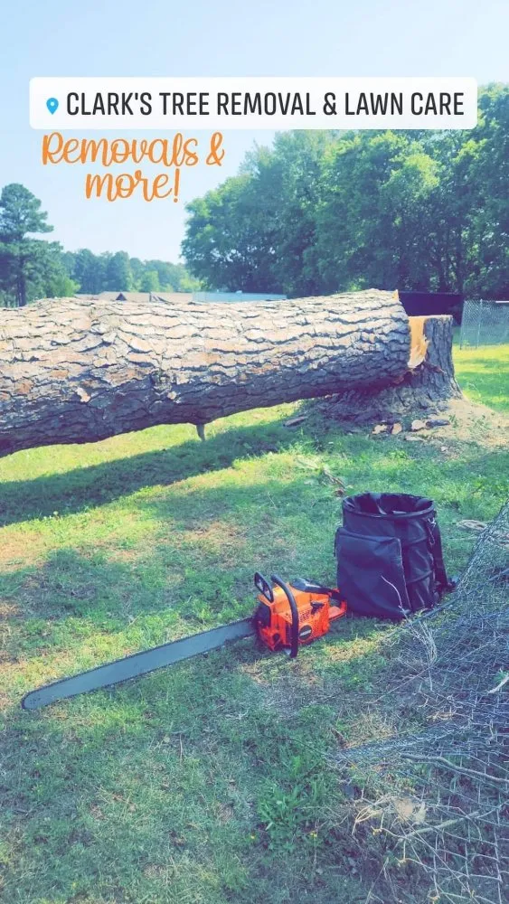 Top-rated residential landscaping near you in Bryant, AR by Clark's Tree Removal and Lawn care