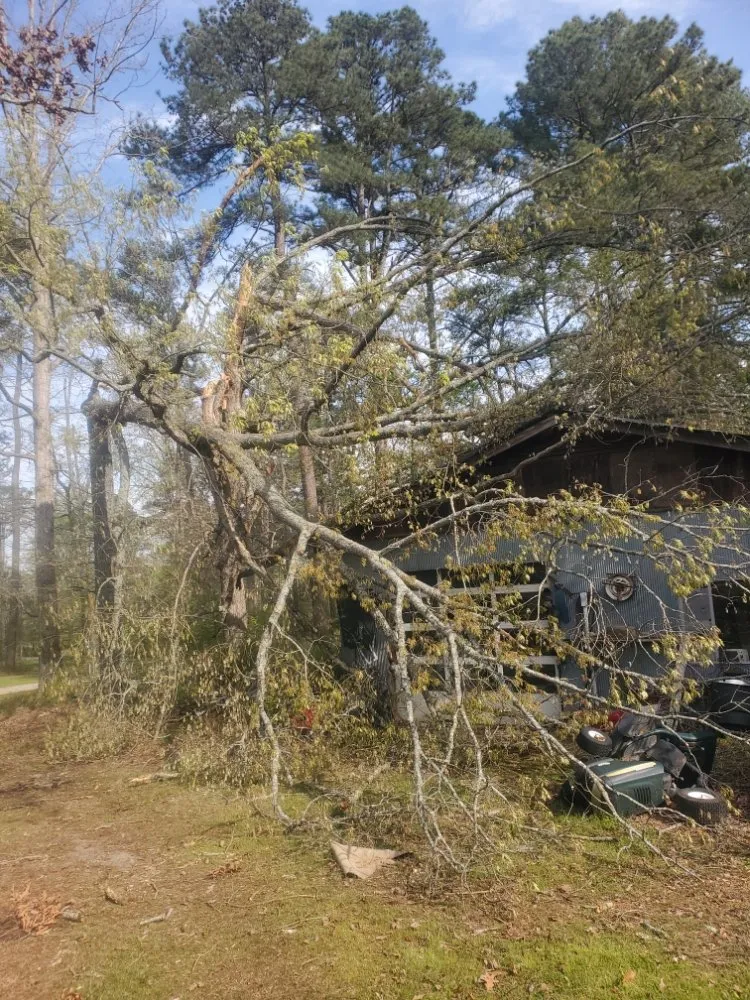 Custom lawn mowing service experts serving Bryant, AR - Clark's Tree Removal and Lawn care