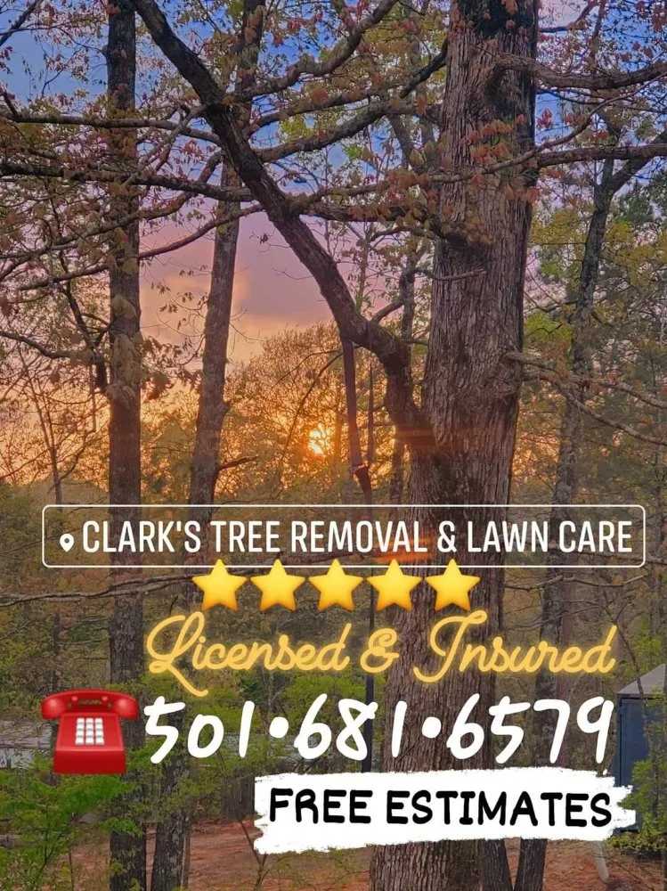 Reliable lawn care service experts serving Bryant, AR - Clark's Tree Removal and Lawn care