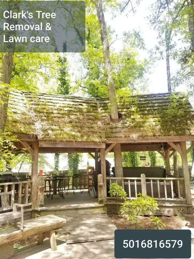 Custom lawn mowing service for outdoor upgrades across Bryant, AR - Clark's Tree Removal and Lawn care
