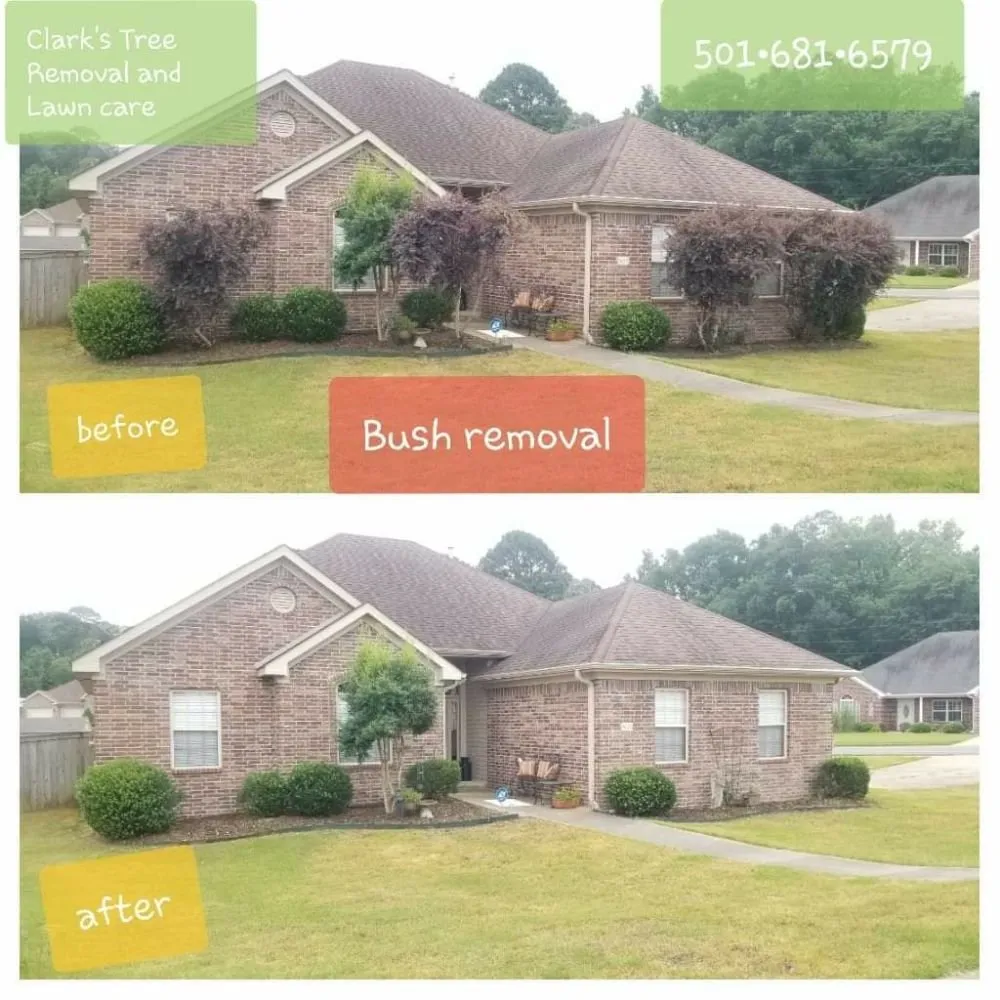 Top-rated outdoor landscaping in Bryant, AR - Clark's Tree Removal and Lawn care