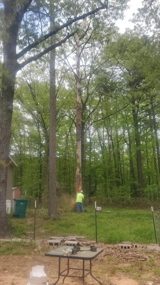 Local lawn care service for outdoor upgrades in Bryant, AR by Clark's Tree Removal and Lawn care