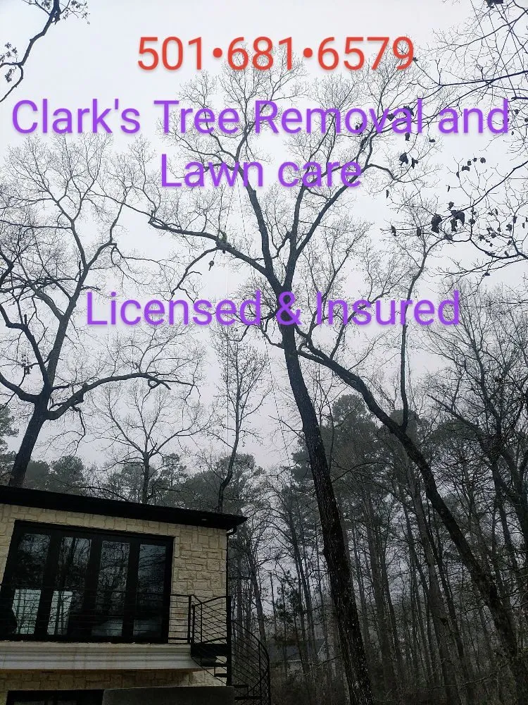 Affordable yard maintenance for beautiful yards across Bryant, AR - Clark's Tree Removal and Lawn care
