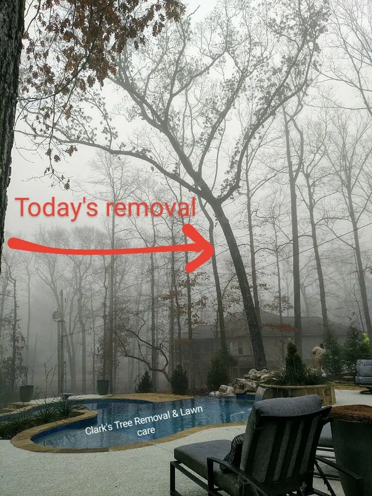 Professional outdoor landscaping experts serving Bryant, AR - Clark's Tree Removal and Lawn care