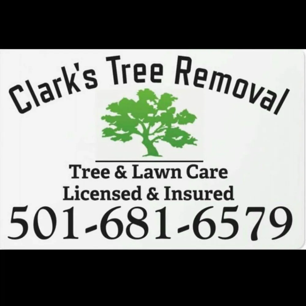Top-rated landscape installation experts serving Bryant, AR - Clark's Tree Removal and Lawn care