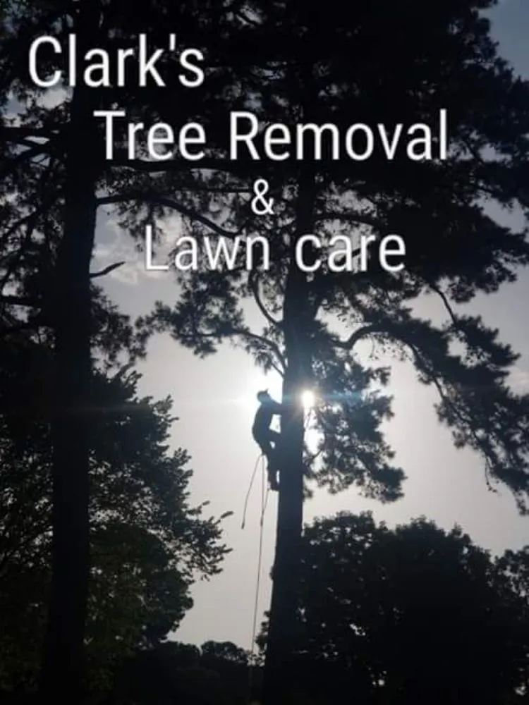 Expert yard maintenance for outdoor upgrades in Bryant, AR by Clark's Tree Removal and Lawn care