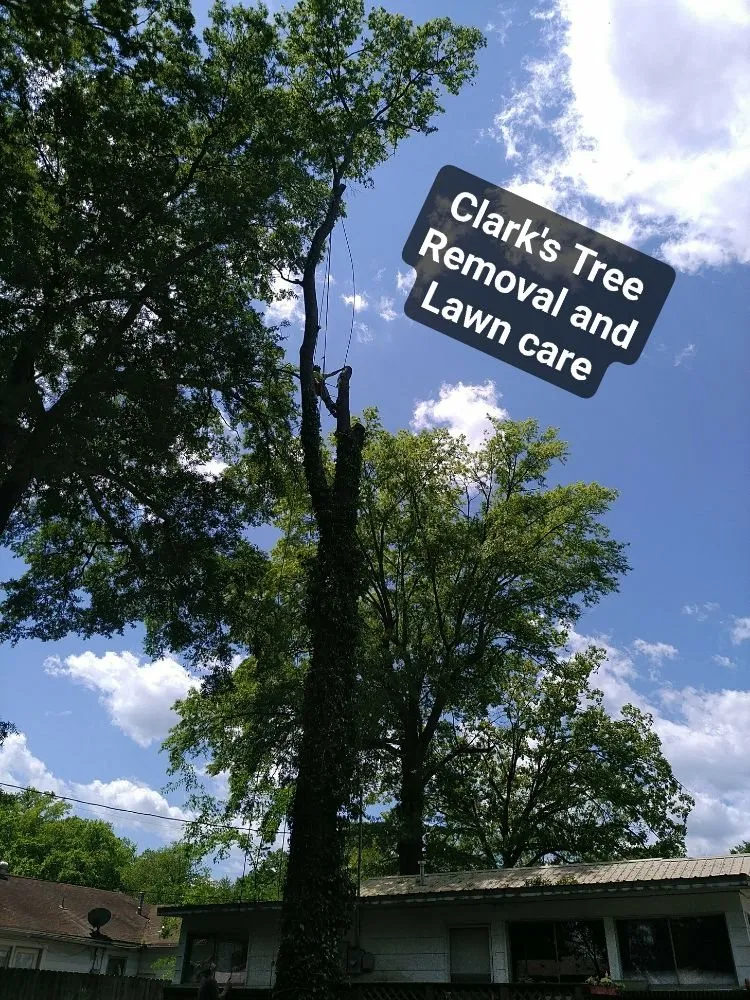 Reliable lawn mowing service experts serving Bryant, AR - Clark's Tree Removal and Lawn care