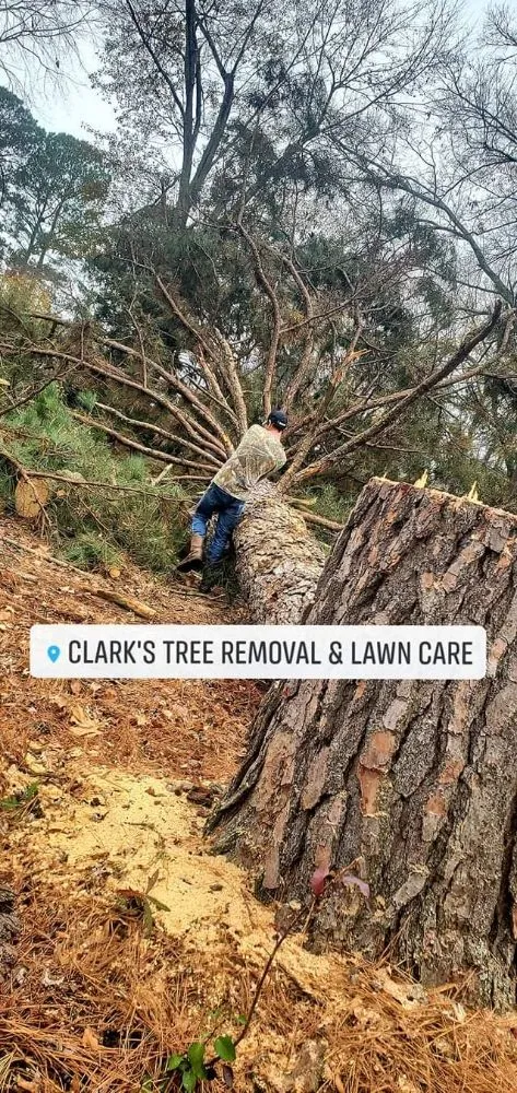 Affordable yard maintenance in Bryant, AR by Clark's Tree Removal and Lawn care