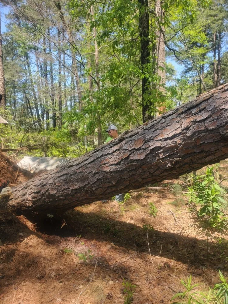 Affordable landscaping services near you across Bryant, AR - Clark's Tree Removal and Lawn care