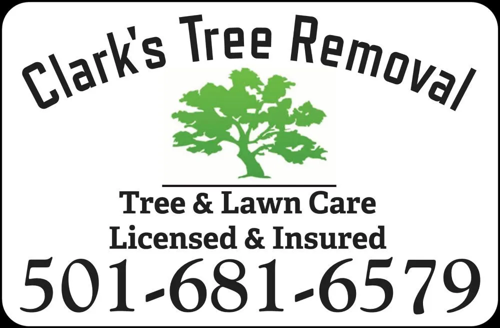 Reliable yard cleanup service in Bryant, AR - Clark's Tree Removal and Lawn care