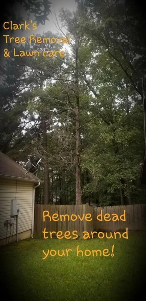 Professional outdoor landscaping experts serving Bryant, AR - Clark's Tree Removal and Lawn care