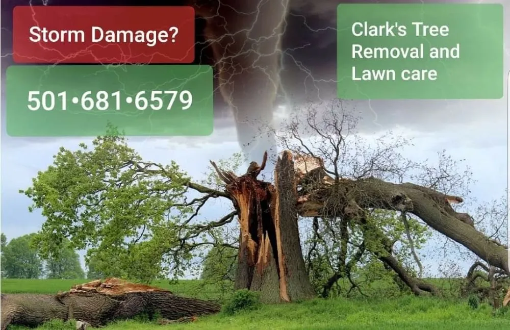 Local yard maintenance experts serving Bryant, AR - Clark's Tree Removal and Lawn care