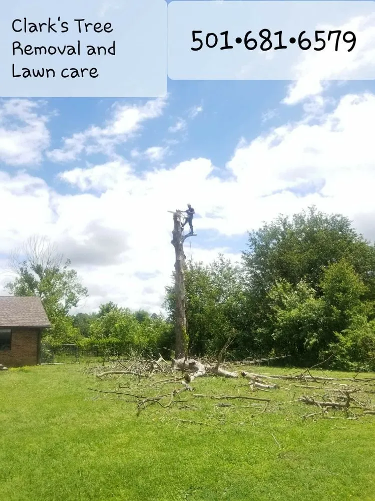 Top-rated landscape design in Bryant, AR by Clark's Tree Removal and Lawn care