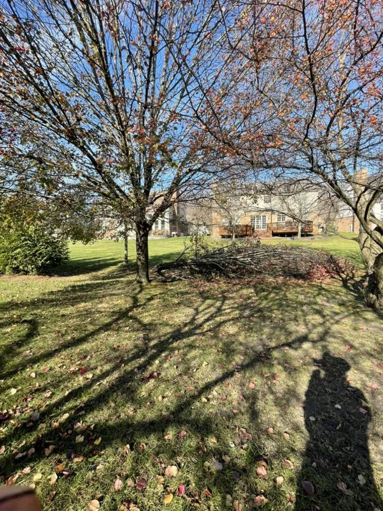 Trusted outdoor landscaping for homes in Ortonville, MI by Clark’s Tree Service LLC