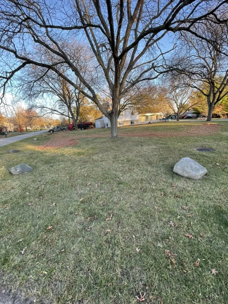 Trusted yard maintenance in Ortonville, MI by Clark’s Tree Service LLC
