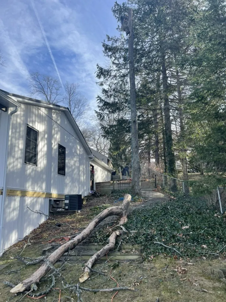 Reliable lawn mowing service for homes across Ortonville, MI - Clark’s Tree Service LLC