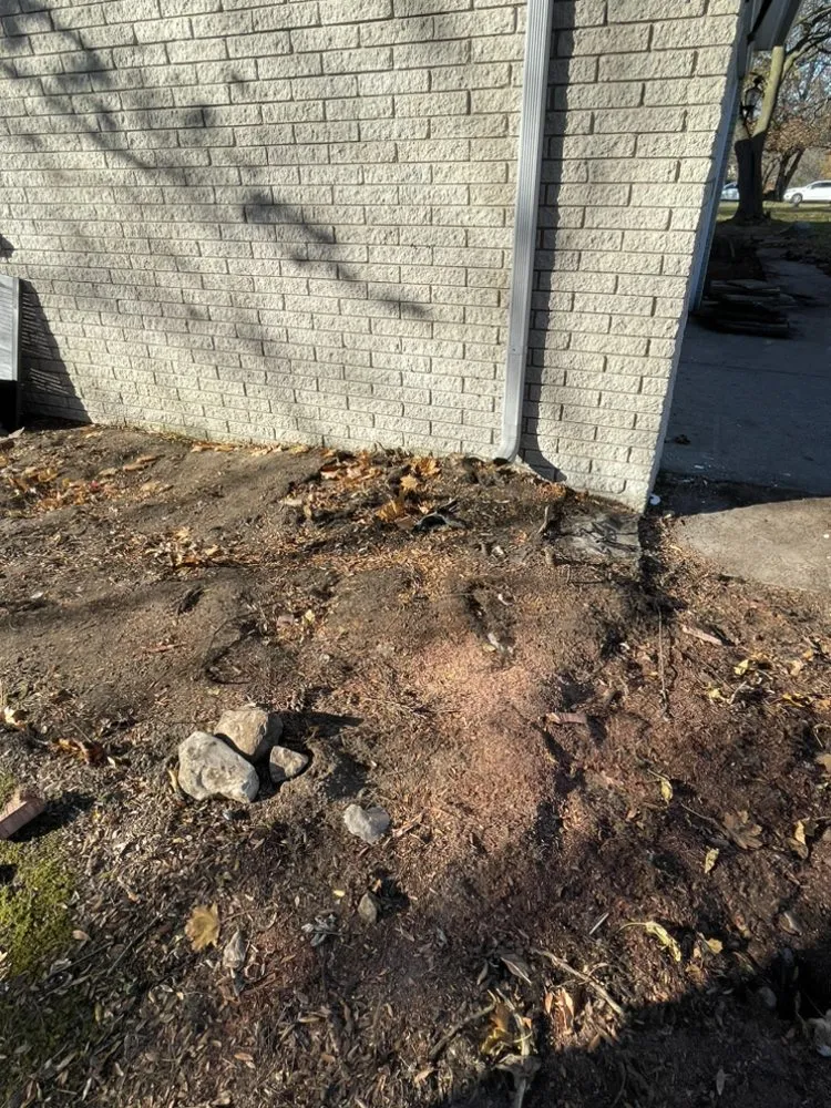 Professional yard maintenance experts serving Ortonville, MI - Clark’s Tree Service LLC