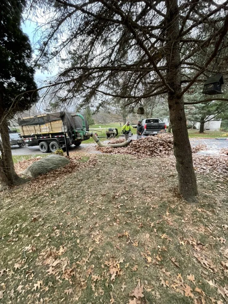 Reliable landscaping services for outdoor upgrades across Ortonville, MI - Clark’s Tree Service LLC