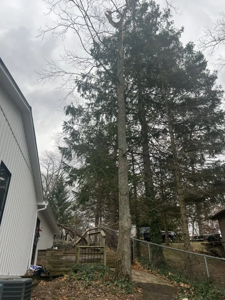 Reliable landscaping services in Ortonville, MI - Clark’s Tree Service LLC