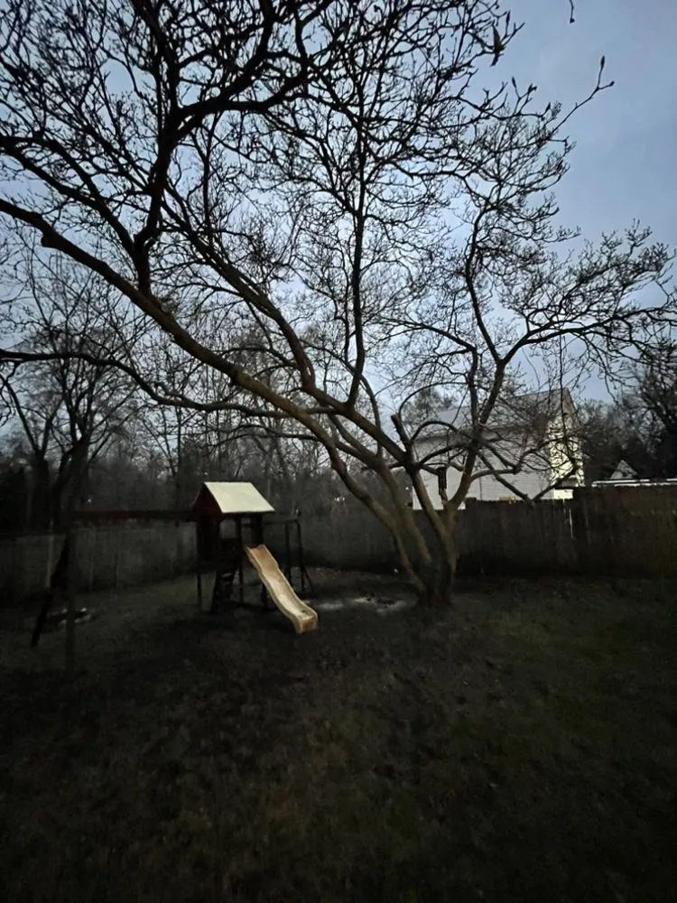 Local lawn mowing service in Ortonville, MI - Clark’s Tree Service LLC