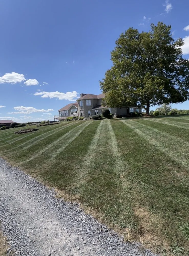 Affordable outdoor landscaping for residential properties in Peterstown, WV by Clarkson