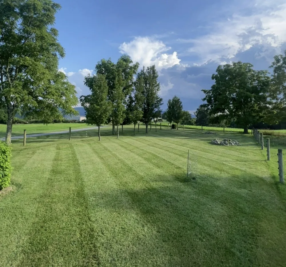Professional landscape installation for homes in Peterstown, WV by Clarkson