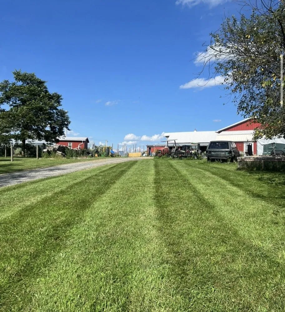 Reliable landscape installation in Peterstown, WV - Clarkson