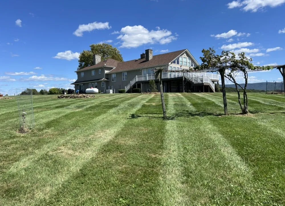 Reliable yard maintenance for homes in Peterstown, WV by Clarkson